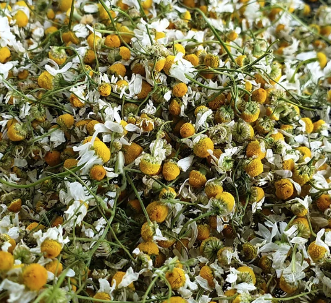 Biozertifizierte Kamillenblüten